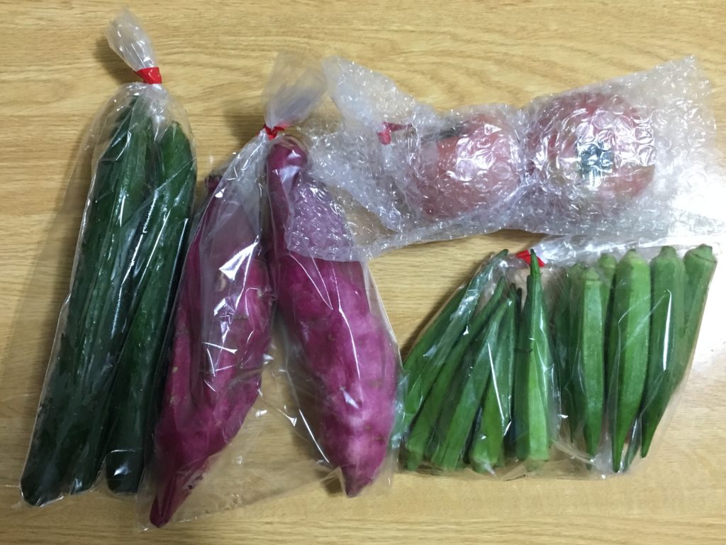高知県奈半利町の土佐野菜 ふるさと納税返礼品 主婦ところによりオタク ときどき投資