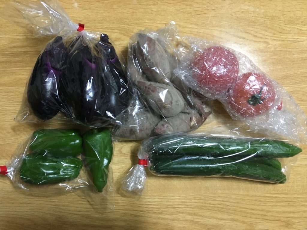 ふるさと納税返礼品 高知県奈半利町から11月分の土佐野菜が届きました 主婦ところによりオタク ときどき投資